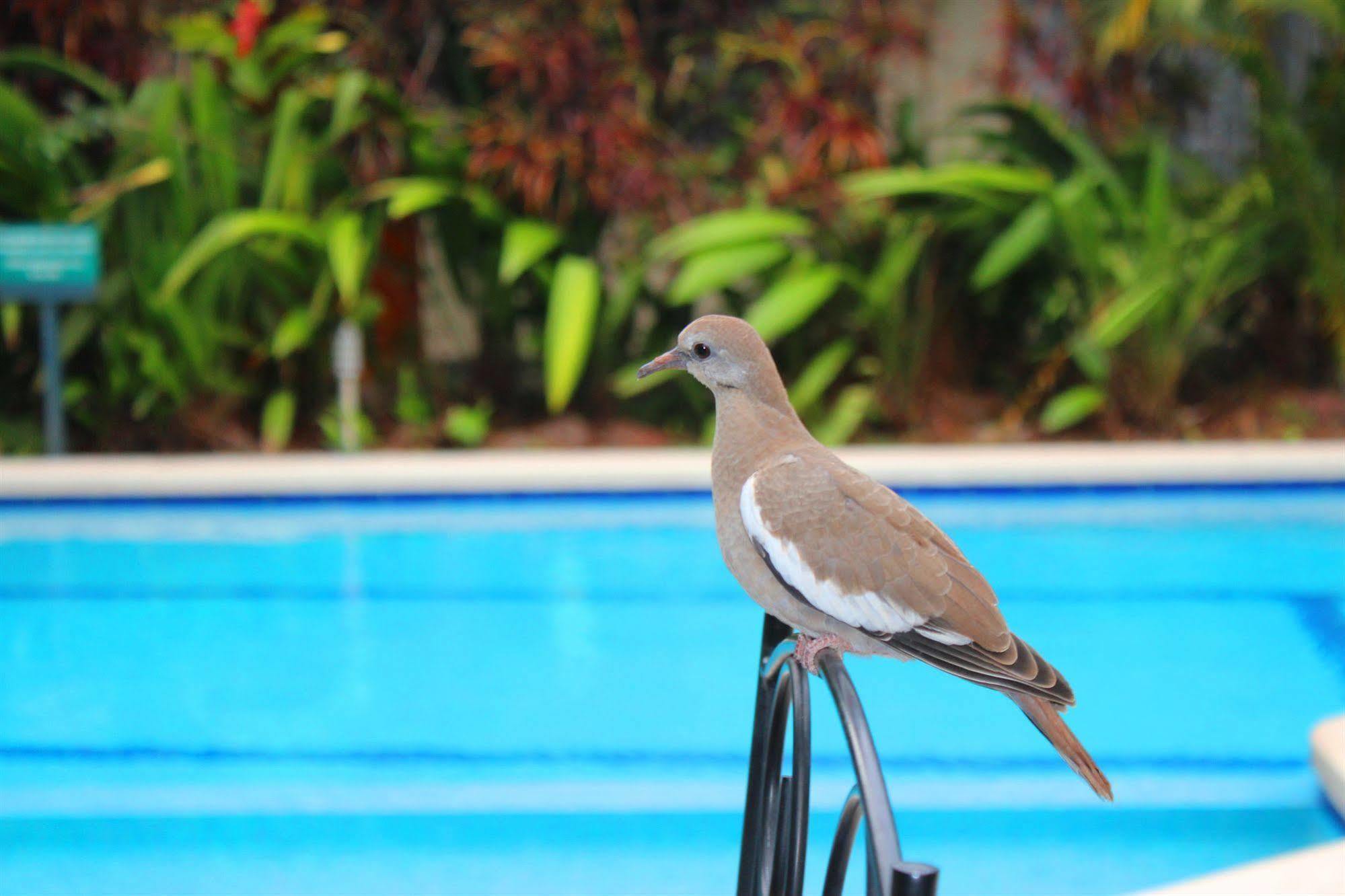 Soluxe El Sesteo Hotel San Jose  Luaran gambar