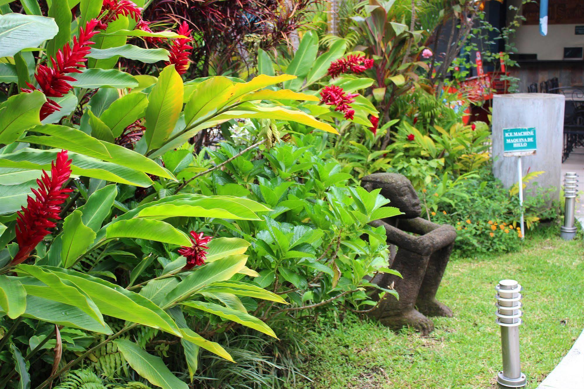 Soluxe El Sesteo Hotel San Jose  Luaran gambar